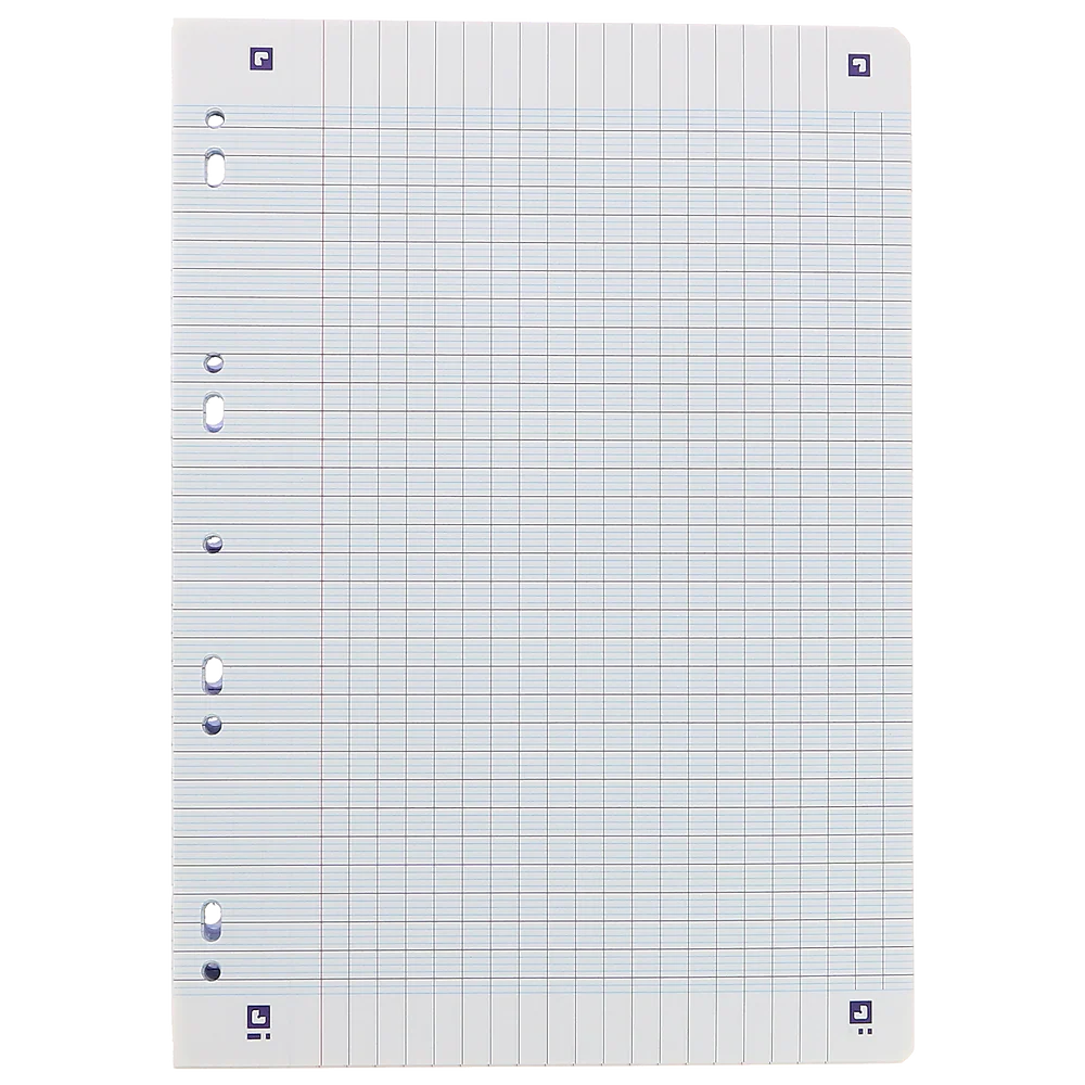 Feuilles Simples OXFORD # A4 perforées - 300 pages - grands carreaux - compatible Scribzee - Image 2