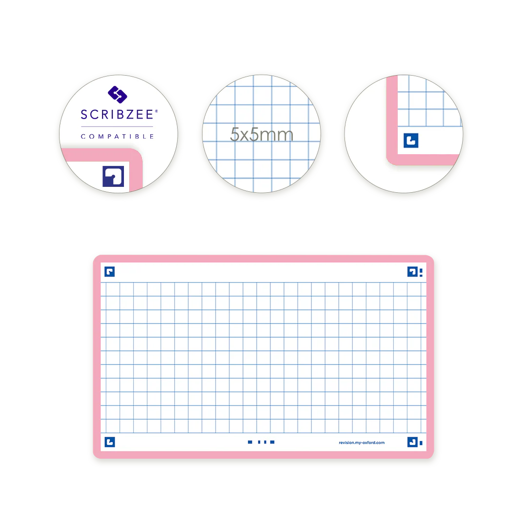 Flashcards FLASH 2.0 OXFORD # 80 cartes 7,5 x 12,5 cm - petits carreaux - Image 12