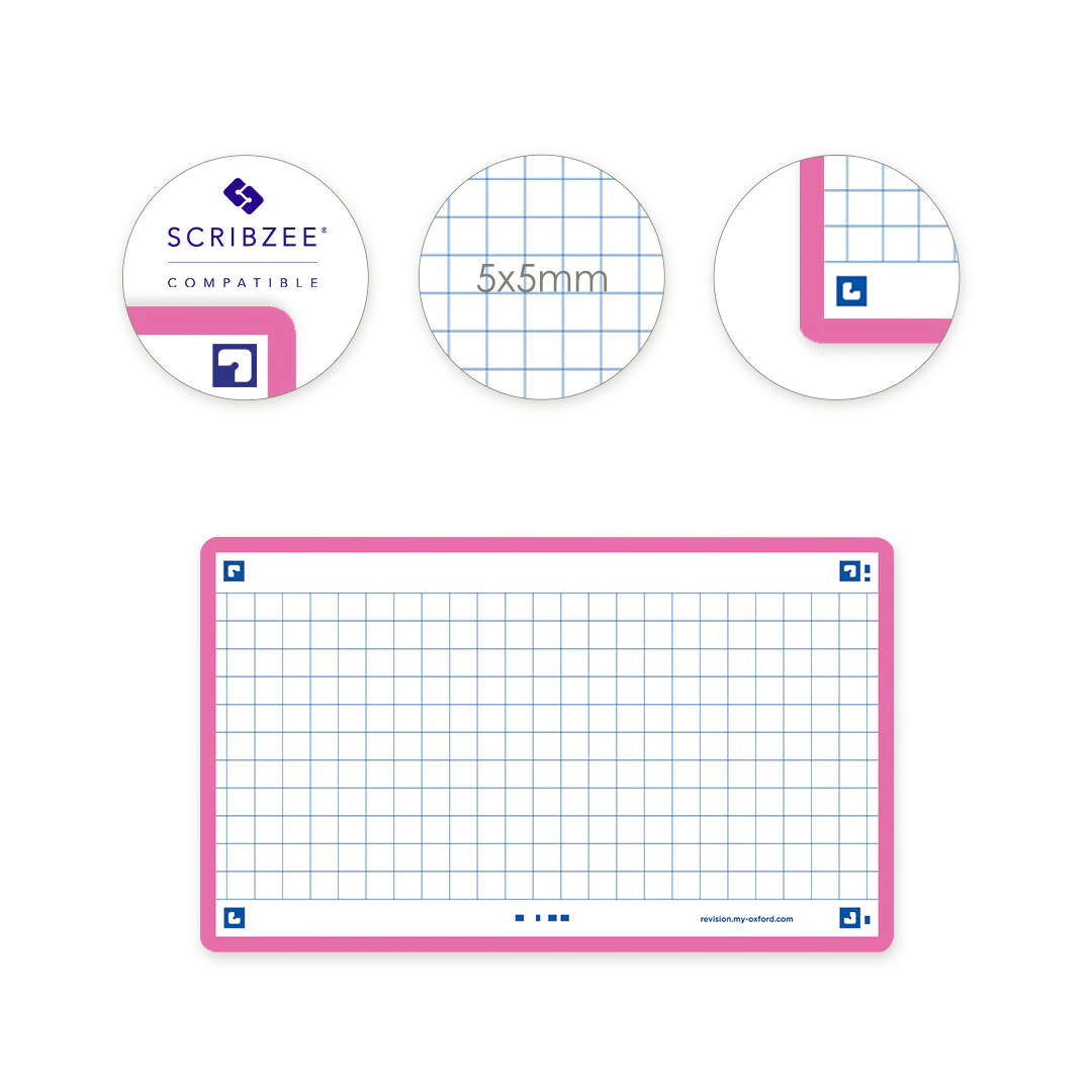 Flashcards FLASH 2.0 OXFORD # 80 cartes 7,5 x 12,5 cm - petits carreaux - Image 58