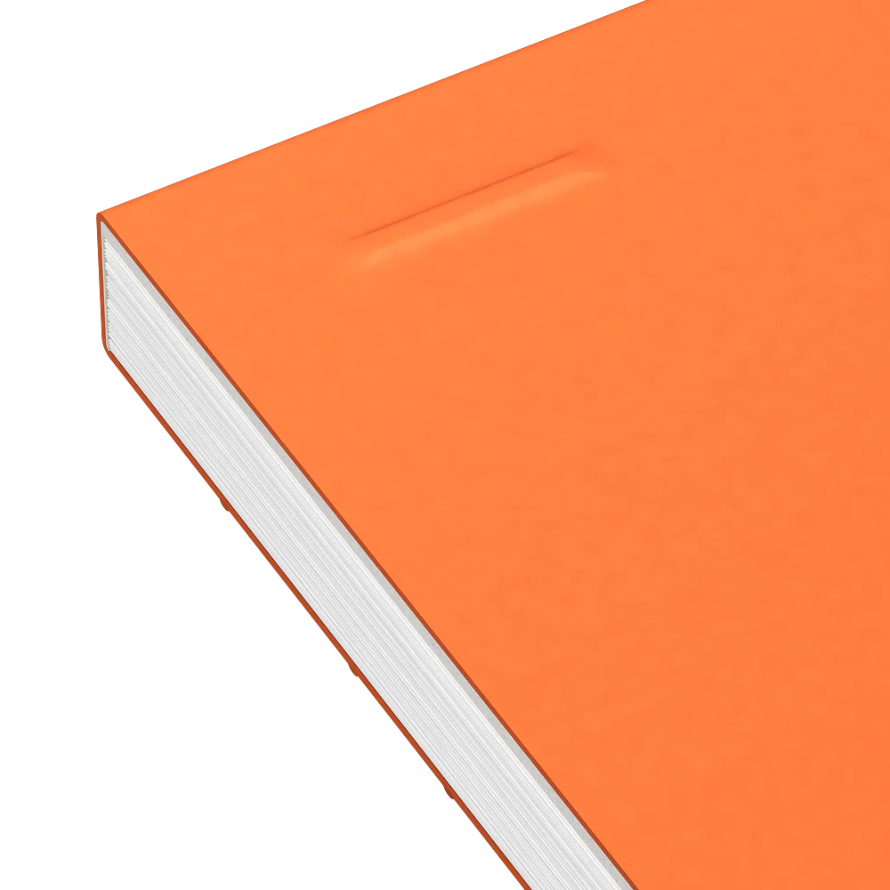 Lot de 3 blocs-notes perforés OXFORD # A4+ - Grands carreaux - 80 feuilles agrafées - Compatibles Scribzee - Image 6